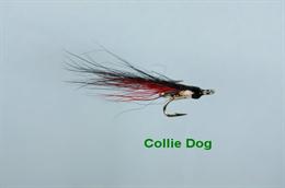 Collie Dog JC Micro Treble